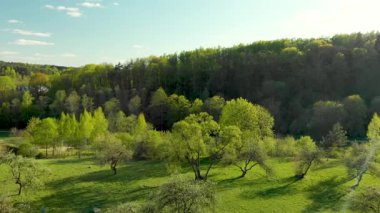 Baharın sonlarında eski bir elma bahçesinin güzel hava manzarası. Güneşli bir yaz gününde bahçede yeşil elma ağaçları. Parlak park manzarası.