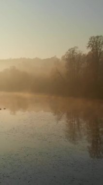 Sonbaharda sarı ve turuncu yapraklı güzel sisli gölün hava manzarası. Kuşlar sabahın köründe ağaçları ve nehri görür. Litvanya, Vilnius 'ta sonbahar şehir parkı manzarası.