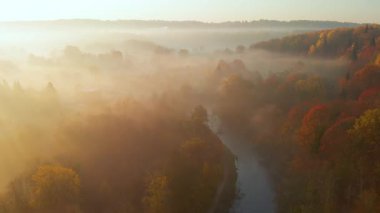 Sonbaharda sarı ve turuncu yapraklı güzel sisli ormanın hava manzarası. Kuşlar sabahın köründe ağaçları ve nehri görür. Litvanya, Vilnius 'ta sonbahar şehir parkı manzarası.