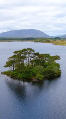 İrlanda 'nın Connemara bölgesindeki Lough Bofin Gölü' nün güzel dikey hava yörüngesi görüntüsü. Ufukta muhteşem dağları olan İrlanda manzarası Galway ilçesi, İrlanda.
