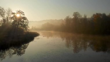 Sonbaharda sarı ve turuncu yapraklı güzel sisli göl manzarası. Kuşlar sabahın köründe ağaçları ve nehri görür. Litvanya, Vilnius 'ta sonbahar şehir parkı manzarası.