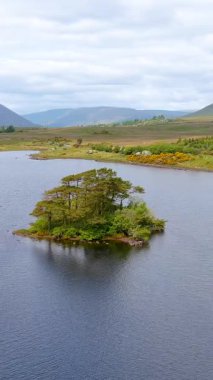 İrlanda 'nın Connemara bölgesindeki Lough Bofin Gölü' nün güzel dikey görüntüsü. Ufukta muhteşem dağları olan İrlanda manzarası Galway ilçesi, İrlanda.