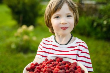 Güneşli yaz gününde taze organik ahududu yiyen tatlı küçük çocuk. Ahududu çiftliğinde eğlenen bir çocuk..