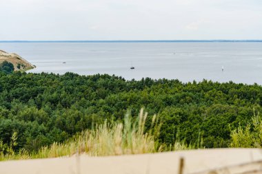 Yuvarlanan kum tepecikleri Litvanya 'daki Curonian Spit' te yoğun yeşil ormanla buluşarak Baltık Denizi 'nin çarpıcı bir kontrastı oluşturuyor..