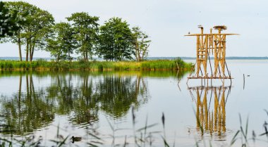 Litvanya 'daki Curonian Spit' in durgun sularından çarpıcı saman heykelleri yükseliyor, sanat ve doğayı barışçıl ve yansıtıcı bir göl kenarı ortamında harmanlıyor..
