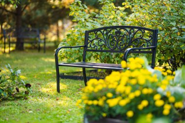 Güneşli bir bahçede huzur içinde oturan süslü siyah metal bir bank yemyeşil ve çiçek açan sarı çiçeklerle çevrili..