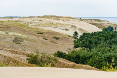 Yuvarlanan kum tepecikleri Litvanya 'daki Curonian Spit' te yoğun yeşil ormanla buluşarak Baltık Denizi 'nin çarpıcı bir kontrastı oluşturuyor..