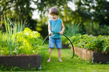 Yaz günü bahçede çiçek tarhlarını sulayan tatlı bir çocuk. Çocuk sebzeleri sulamak için bahçe hortumu kullanıyor. Çocuk günlük ev işlerine yardım ediyor. Annesinin küçük yardımcısı..