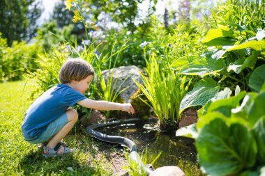 Güneşli bir yaz gününde küçük bir bahçe havuzu kenarında eğlenen komik küçük çocuk. Doğayı keşfeden çocuk. Küçük çocuklar için yaz etkinlikleri.