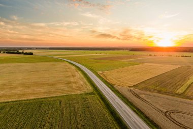 Farklı ekinlerden oluşan tarımsal parsellerin havadan görünüşü. Tarlanın ortasında yalnız bir ağaç. Saman balyası tarlaları ve Litvanya 'nın tarım arazileri. Güneşli yaz akşamı.