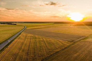 Farklı ekinlerden oluşan tarımsal parsellerin havadan görünüşü. Tarlanın ortasında yalnız bir ağaç. Saman balyası tarlaları ve Litvanya 'nın tarım arazileri. Güneşli yaz akşamı.