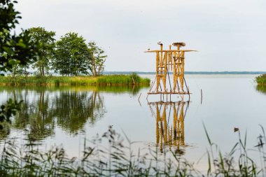 Litvanya 'daki Curonian Spit' in durgun sularından çarpıcı saman heykelleri yükseliyor, sanat ve doğayı barışçıl ve yansıtıcı bir göl kenarı ortamında harmanlıyor..