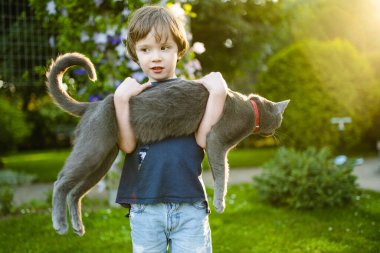Şirin küçük bir çocuk, açık havada Rus Mavisi safkan kedisini tutuyor. Neşeli çocuk ve evcil hayvanı güneşli yaz gününde.