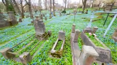 Nisan ayında Bernardine mezarlığında açan mavi scilla siberica bahar çiçekleri, Litvanya 'nın Vilnius kentindeki en eski üç mezarlıktan birinin havadan FPV görüntüsü.