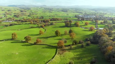 İngiltere 'nin uçsuz bucaksız yemyeşil otlaklarının ve tarlalarının sonbahar havası. Zümrüt yeşili tarlaları ve çayırları olan güzel bir İngiliz kırsalı. Gün batımında kırsal alan. Birleşik Krallık.