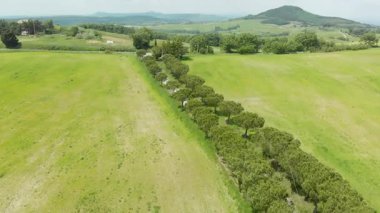 Toscana 'nın yeşil tarlaları arasındaki İtalyan malikanesinin hava manzarası. Montepulciano, Tuscany, İtalya yakınlarındaki asfalt yol boyunca çam ağacı geçidi.
