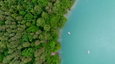 Tropikal göl kıyısı boyunca giden teknelerin yukarıdan aşağıya doğru dönen görüntüsü. Çam ormanlarıyla çevrili manzaralı zümrüt göl.