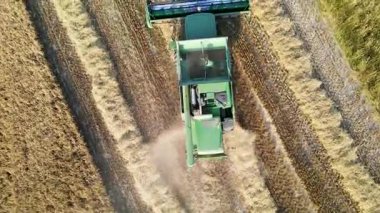 Hasat makinesinin havadan aşağı görüntüsü altın rengi buğday topluyor. İngiltere 'nin tarlaları ve tarlaları. Makine ya da tarımsal ekipman hasat etmek. Hasat konseptine ulaş. İngiltere.