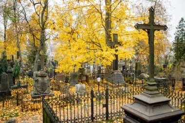 VILNIUS, LITHUANIA - 30 Ekim 2024: Litvanya 'nın Vilnius kentindeki en eski üç mezarlıktan biri olan Bernardine mezarlığının mezar taşlarını kaplayan sarı sonbahar yaprakları.