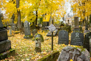 VILNIUS, LITHUANIA - 30 Ekim 2024: Litvanya 'nın Vilnius kentindeki en eski üç mezarlıktan biri olan Bernardine mezarlığının mezar taşlarını kaplayan sarı sonbahar yaprakları.