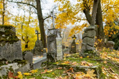 VILNIUS, LITHUANIA - 30 Ekim 2024: Litvanya 'nın Vilnius kentindeki en eski üç mezarlıktan biri olan Bernardine mezarlığının mezar taşlarını kaplayan sarı sonbahar yaprakları.