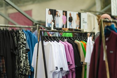 VILNIUS, LITHUANIA - 3 Eylül 2024: Litvanya ulusal topluluklarından ustaların sanatlarını, geleneklerini ve geleneklerini sundukları Uluslar Fuarı 'nda satılan çeşitli mal ve ürünler.