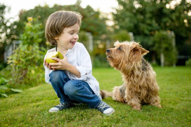 Mutlu genç bir çocuk, Avustralya teriyerinin yanında çimenlerde oturur, bahçede keyifli bir anın tadını çıkarır.