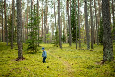 Genç bir çocuk günlük kıyafetlerle yemyeşil bir ormanı keşfeder, doğanın basit harikalarına ve açık havanın özgürlüğüne dalmıştır..
