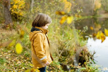 Sonbahar günü dışarıda oynayan sevimli küçük bir çocuk. Doğayı keşfeden çocuk. Küçük çocuklar için sonbahar aktiviteleri.