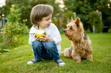 Mutlu genç bir çocuk, Avustralya teriyerinin yanında çimenlerde oturur, bahçede keyifli bir anın tadını çıkarır.