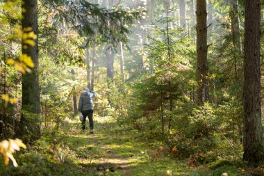 Bir insan, uzun ağaçlar ve sonbahar yapraklarıyla çevrili bir çanta taşıyarak güneşli bir orman yolunda yürüyor..