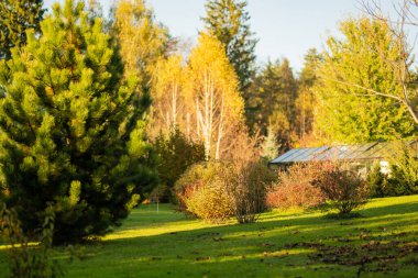 Sonbahar gününün sonlarında bir bahçe. Yere düşen yapraklar. Çiftlikte kendi meyve ve sebzelerini yetiştiriyorlar. Bahçıvanlık ve kendi kendine yeten yaşam tarzı.