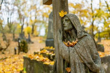 Vilnius, Litvanya 'daki en eski üç mezarlıktan biri olan Bernardine mezarlığının mezar taşlarını kaplayan sarı sonbahar yaprakları.