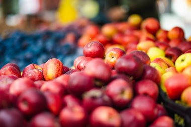 Litvanya 'nın Vilnius kentindeki yıllık bahar festivalinde çiftçilere satılan tahta kasalarda taze kırmızı ve sarı elmalar.