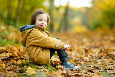 Sonbahar günü dışarıda oynayan sevimli küçük bir çocuk. Doğayı keşfeden çocuk. Küçük çocuklar için sonbahar aktiviteleri.