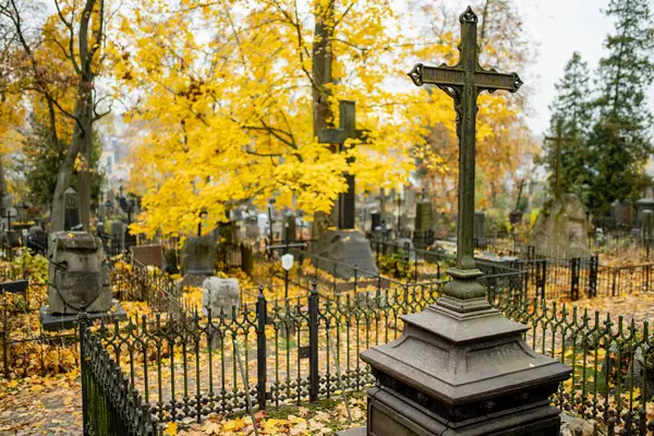 Vilnius, Litvanya 'daki en eski üç mezarlıktan biri olan Bernardine mezarlığının mezar taşlarını kaplayan sarı sonbahar yaprakları.