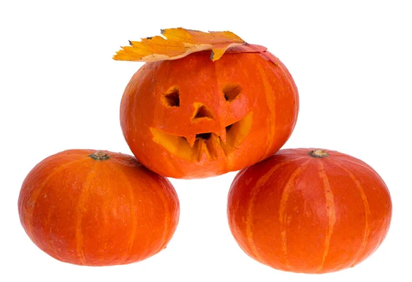 Pumpkins Halloween Day Isolated White Background — Stock Photo, Image