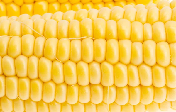 Background Young Corn Close — Stock Photo, Image