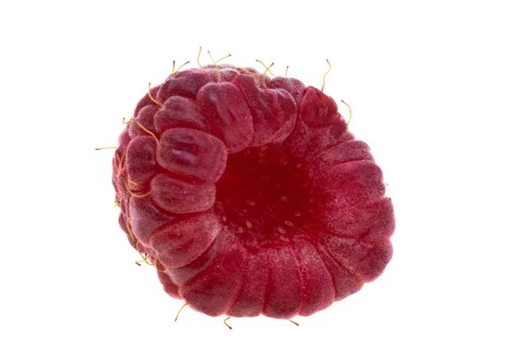 Raspberries Isolated White Background — Stock Photo, Image
