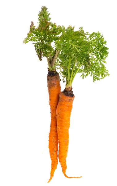 Морковь Листьями Изолированы Белом Фоне — стоковое фото