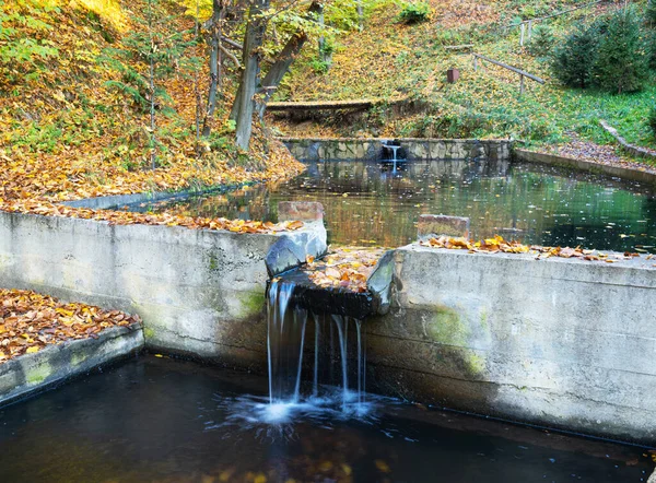 Podzimní Krajina Rybníku — Stock fotografie
