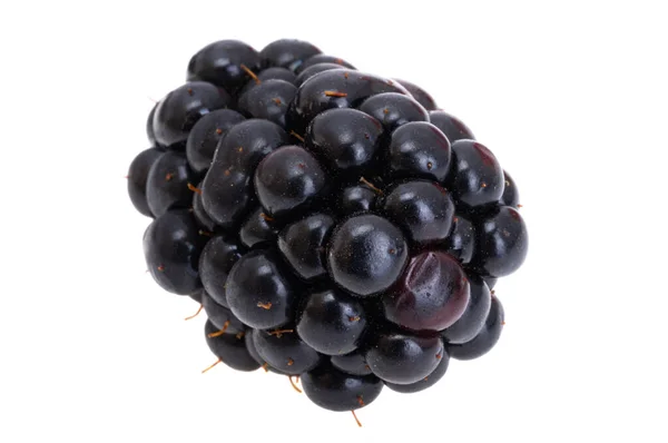 黑色黑莓 白色背景分离 — 图库照片