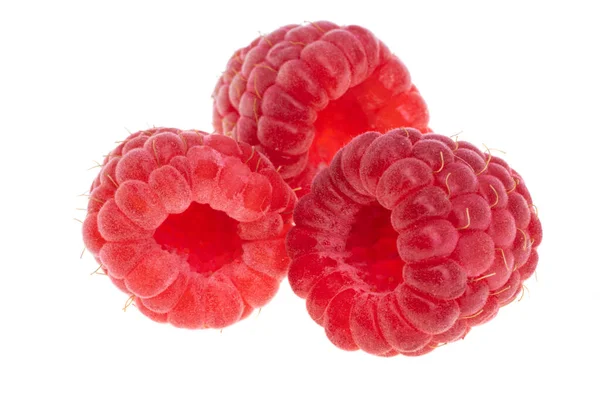 Raspberries Isolated White Background — Stock Photo, Image