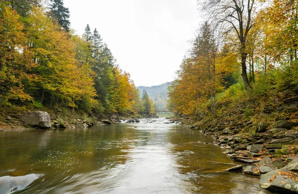 Podzimní Krajina Řekou Karpat — Stock fotografie