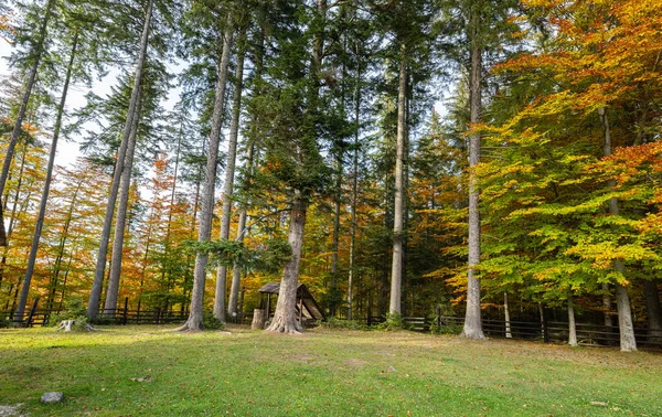 Herfst Landschap Karpaten — Stockfoto