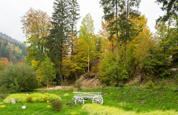 Podzimní Krajina Karpat — Stock fotografie
