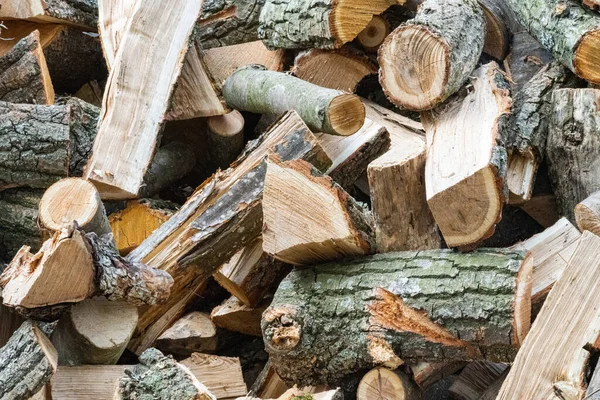 Background Chopped Oak Firewood — Foto de Stock