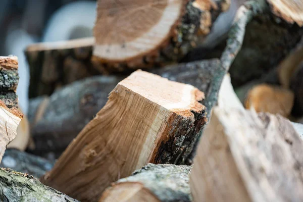 Background Chopped Oak Firewood — 스톡 사진