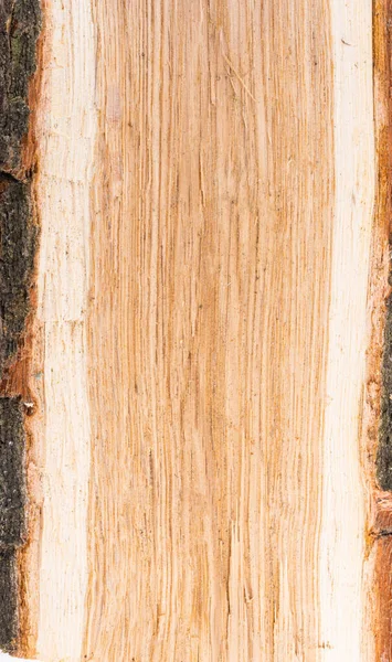 Background Chopped Oak Firewood — 图库照片