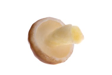 Beyaz arkaplanda izole edilmiş mantarlar